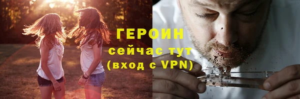 шишки Лабытнанги