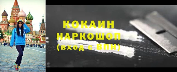 шишки Ладушкин