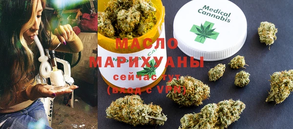 шишки Лабытнанги