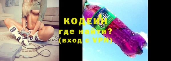 шишки Лабытнанги