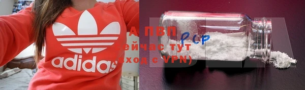 шишки Ладушкин