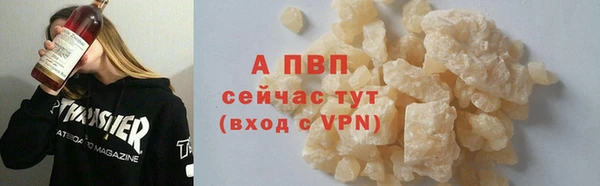шишки Лабытнанги