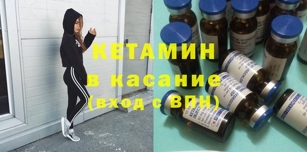 шишки Ладушкин