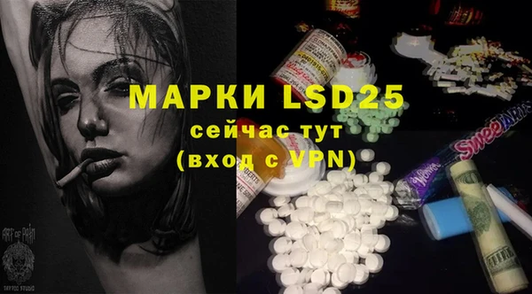 шишки Ладушкин