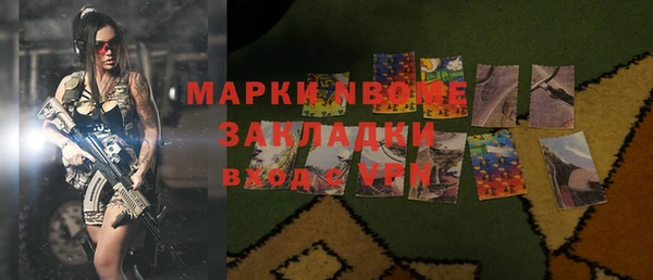 шишки Лабытнанги