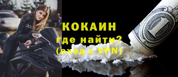 шишки Лабытнанги