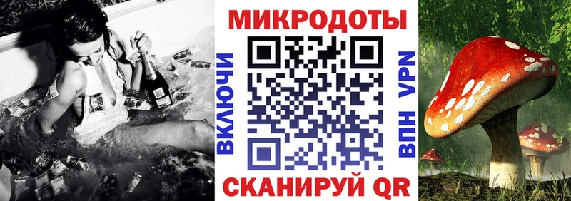 ссылка на мегу онион Белокуриха Галлюциногенные грибы Psilocybe
